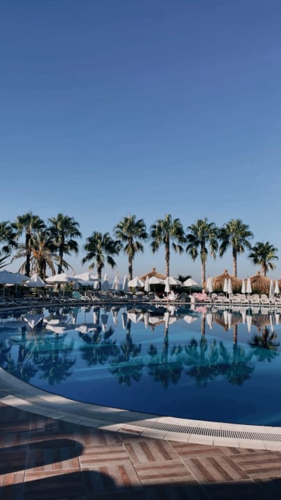 Pool Paloma Oceana