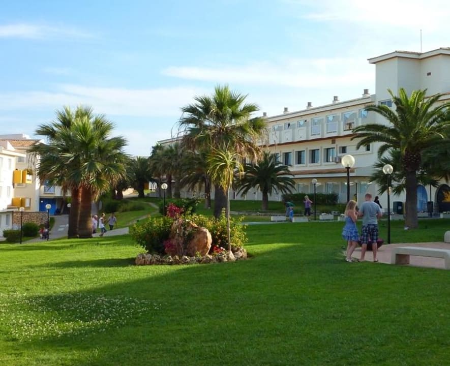 Koło restauracji blau punta reina