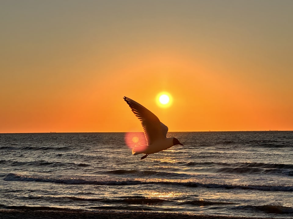 Strand Vestina Wellness & Spa Hotel