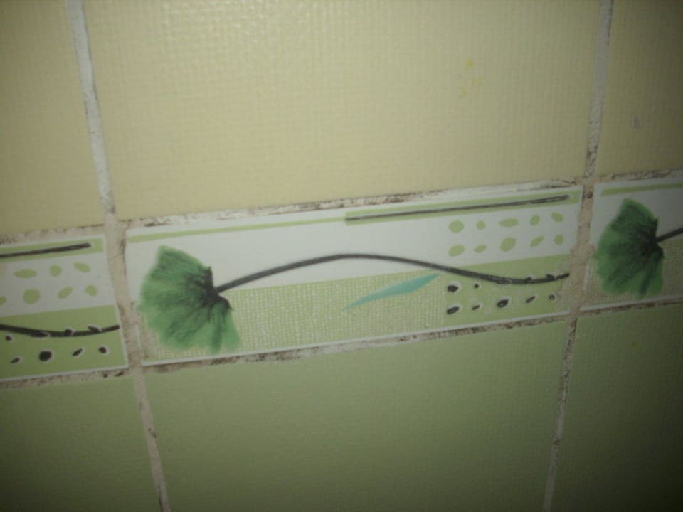 Schimmel im Bad Hotel Orfeus Park