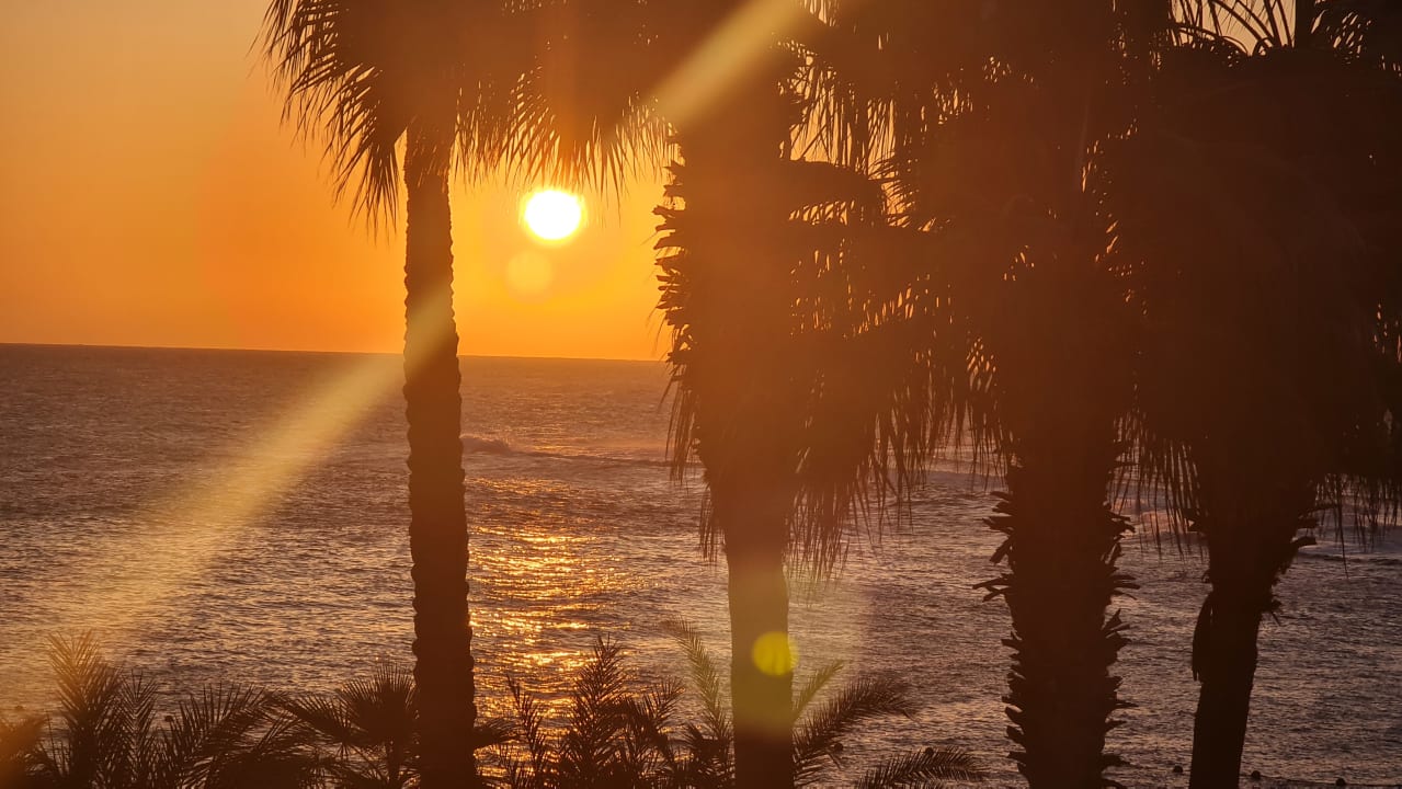 Ausblick Steigenberger Coraya Beach - Adults only