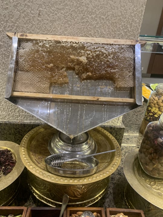 Gastro Steigenberger Resort Ras Soma