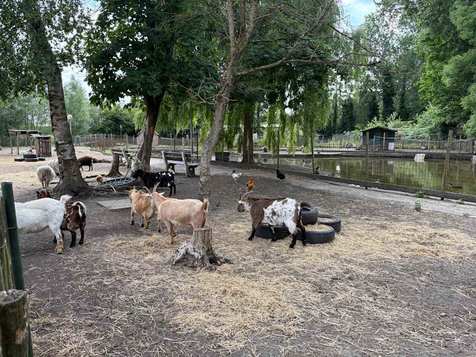 Sport & Freizeit Oostappen Vakantiepark Marina Beach