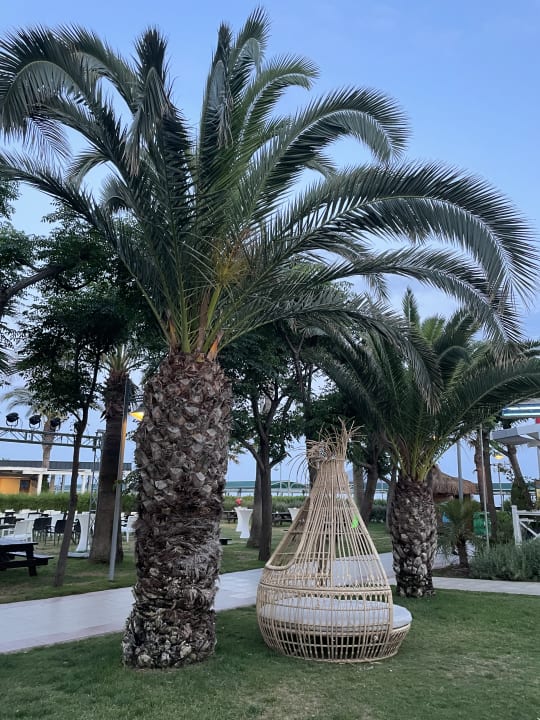 Gartenanlage Belek Beach Resort Hotel