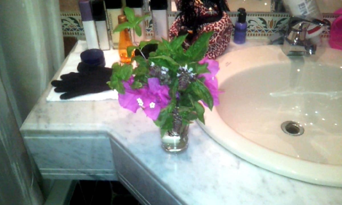 Bad Three Corners Equinox Beach Resort