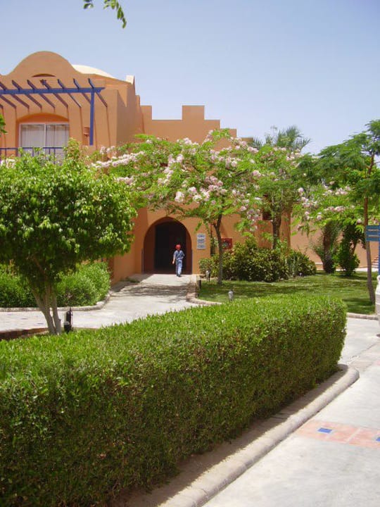 Makadi Oasis Jaz Makadi Oasis Resort