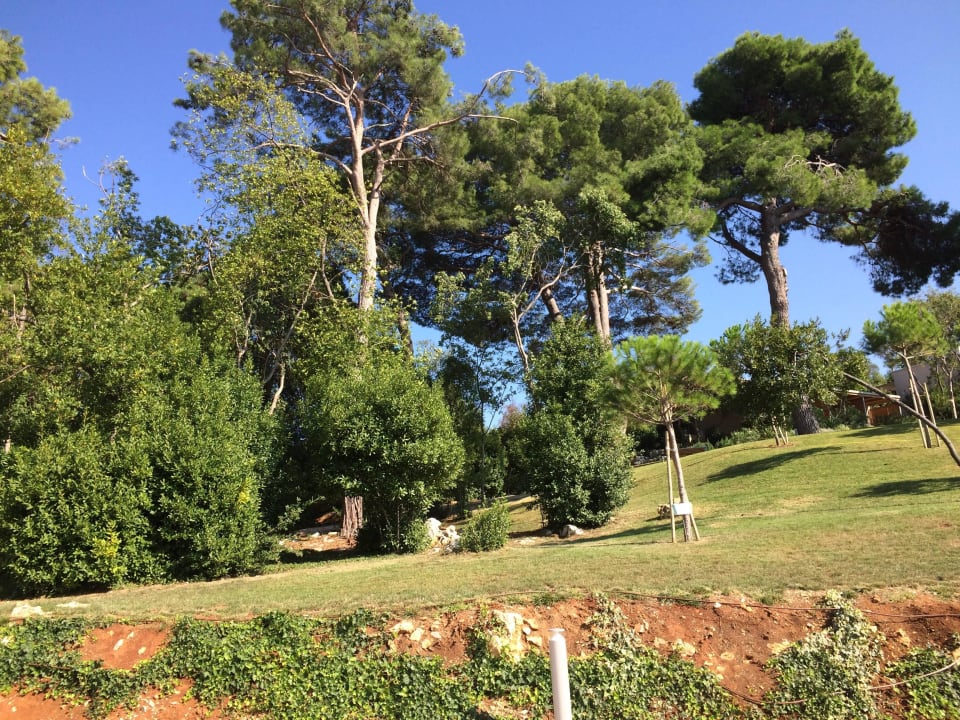 Hotel Isabella Pool, Außenanlage, Inselrundgag Isabella Island Resort Valamar Collection