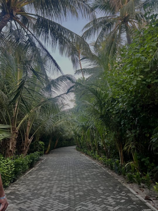 Gartenanlage Hotel Riu Atoll