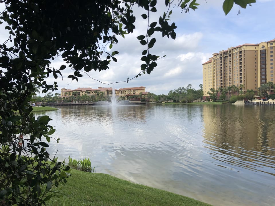 Gartenanlage Wyndham Grand Orlando Resort Bonnet Creek