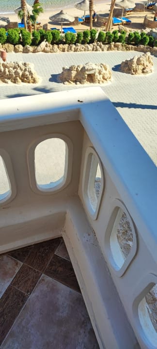 Zimmer Pickalbatros Citadel Resort