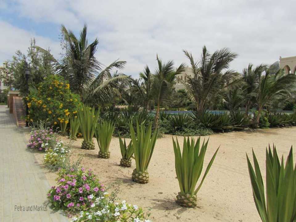 Auf Fotosafari in der Anlage Hotel Riu Karamboa