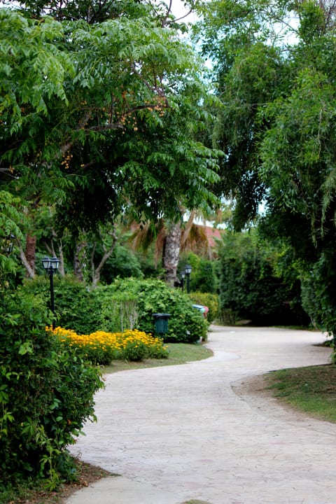 В тени деревьев Belconti Resort Hotel
