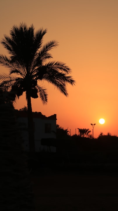 Ausblick Hotel Coral Garden