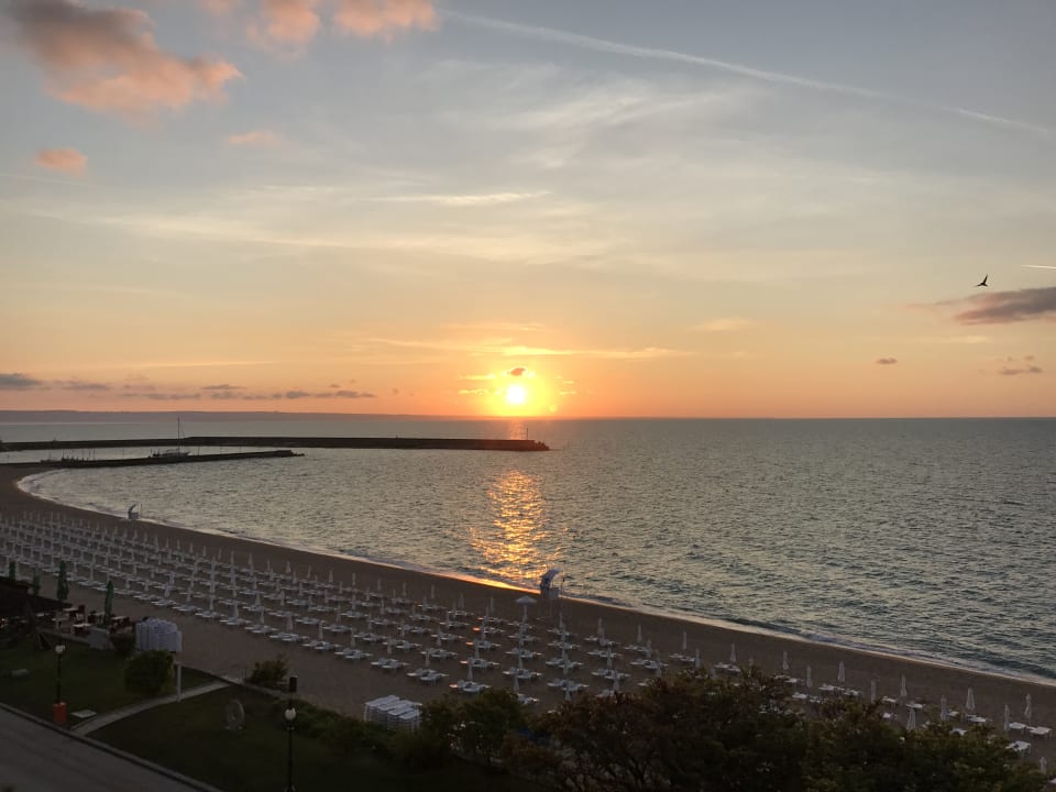 Strand Sentido Marea