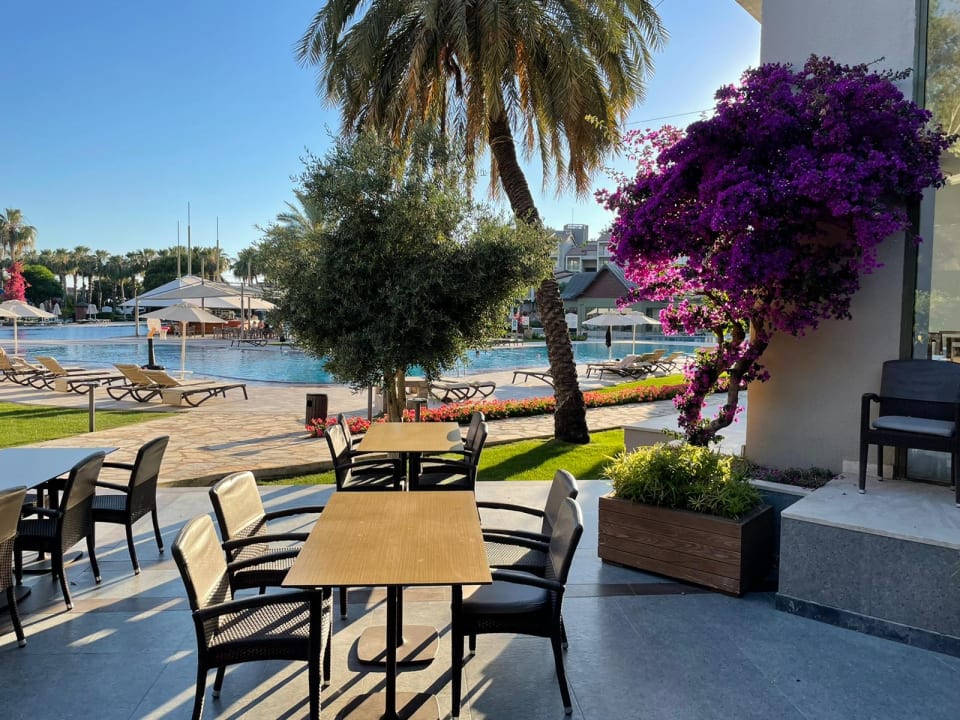 Gastro Arum Barut Collection