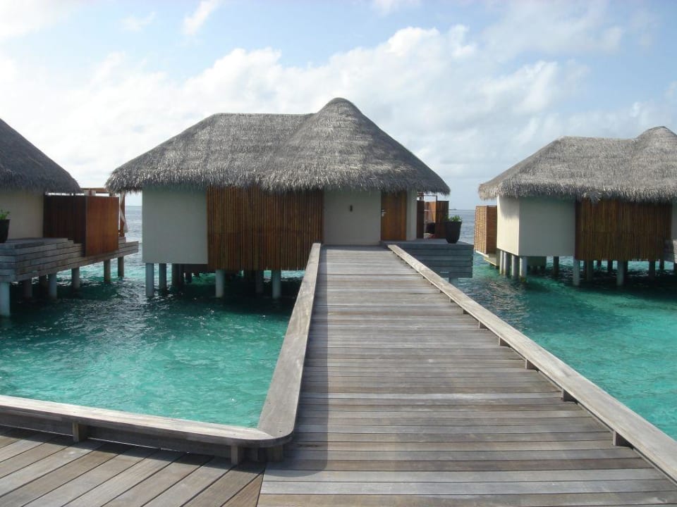Ocean Oasis (Wasservilla) W Maldives