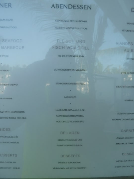 Gastro Hotel Riu Bambu
