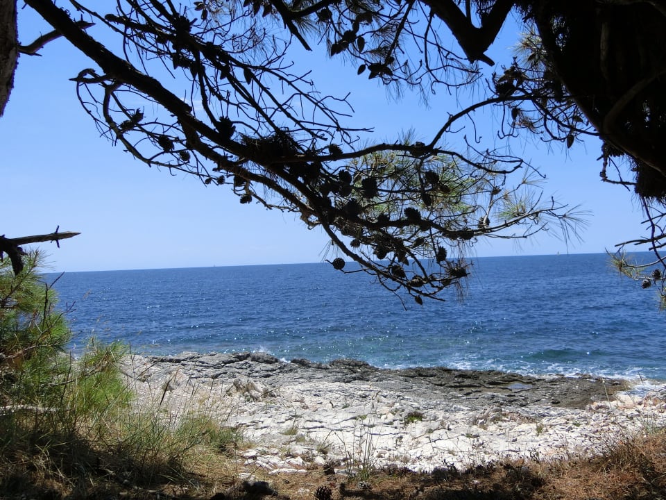 Ausblick Hotel Aurora