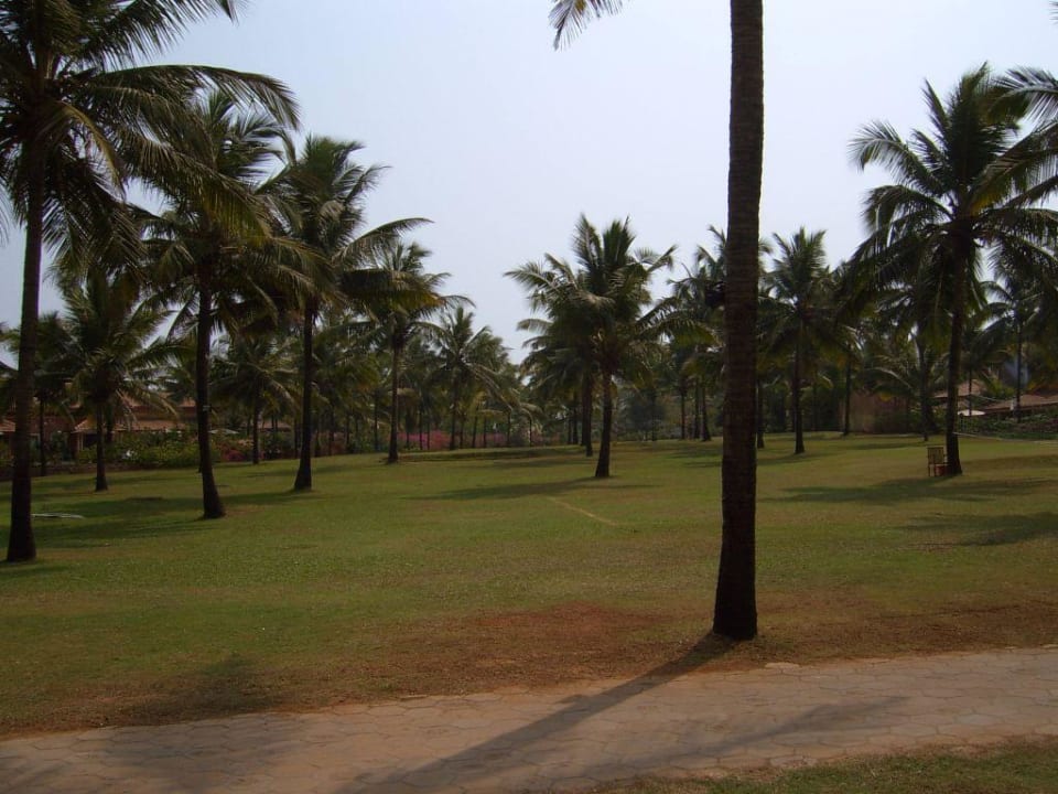 Palmy Hotel Taj Holiday Village