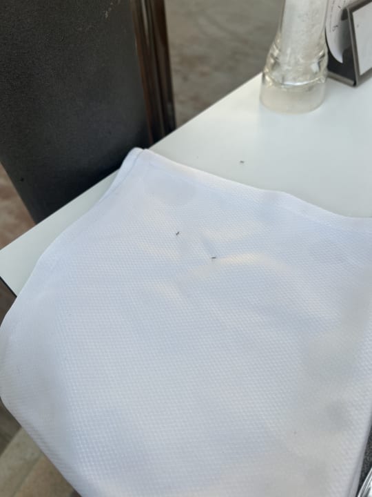 Gastro Universal Hotel Lido Park & Spa