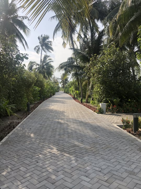 Gartenanlage Hotel Riu Atoll