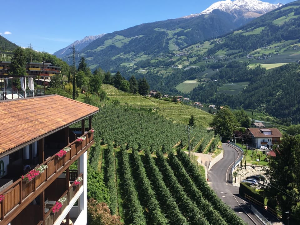 Ausblick Hotel Golserhof