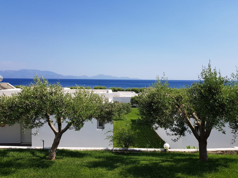 Ausblick Dimitra Beach Hotel & Suites