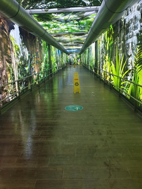 Sonstiges Tropical Islands Resort