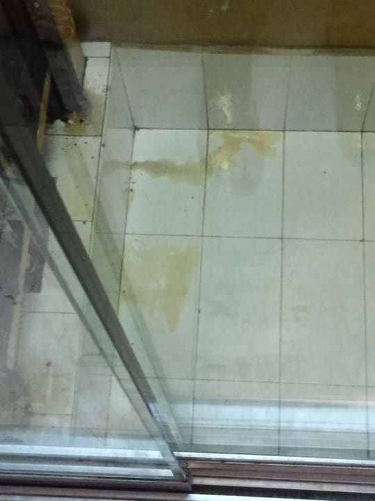 Fahrstuhl Effect Grand Victoria Hotel