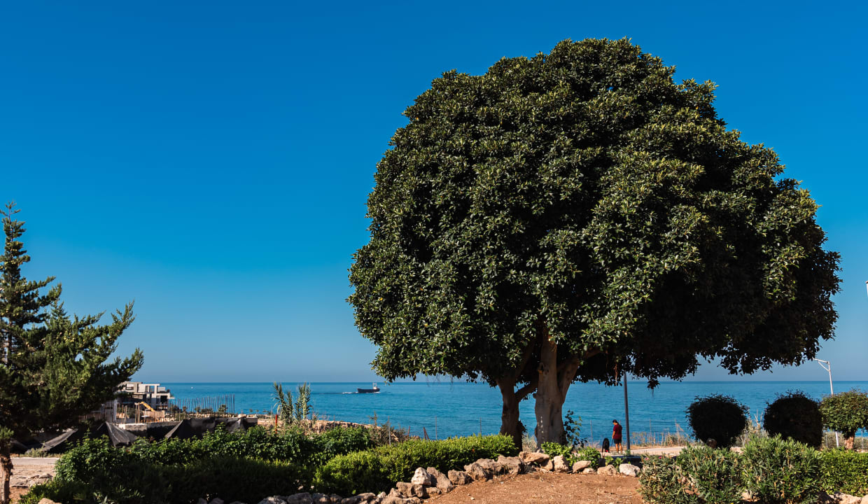 Ausblick Atlantica Akteon