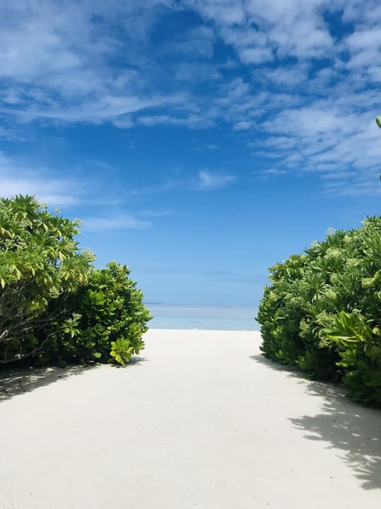 Strand Cinnamon Hakuraa Huraa Maldives