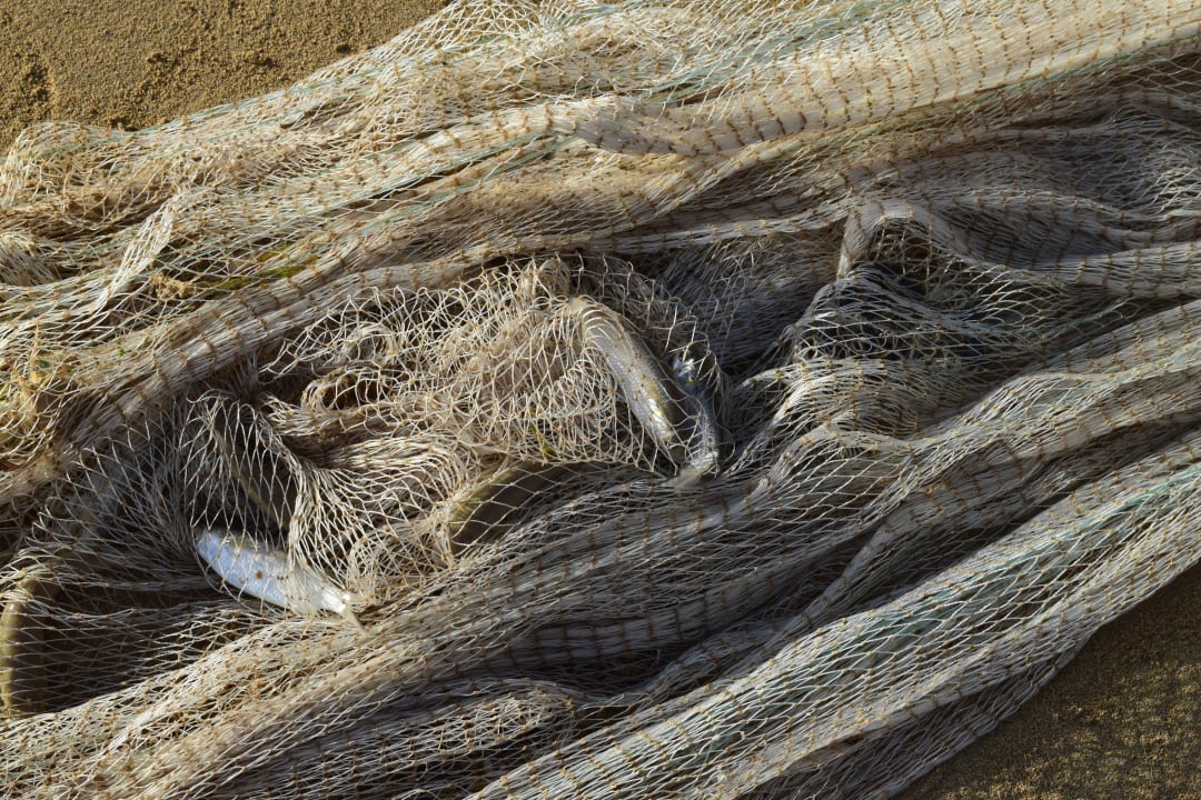 Strand Bahia Principe Grand El Portillo