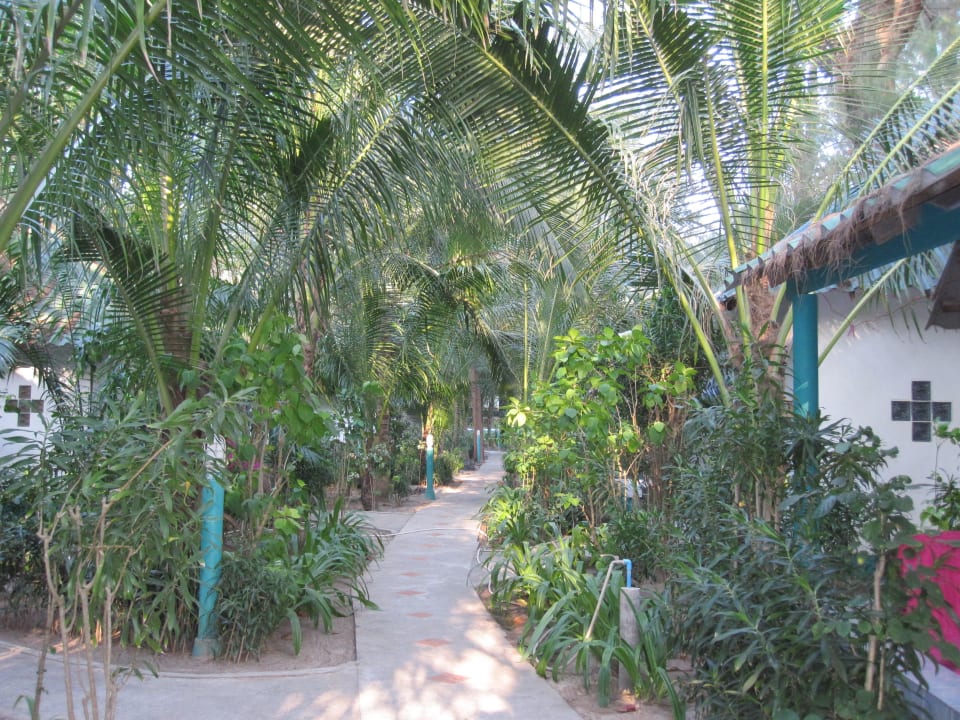 Wege zwischen den Bungalows, wirklich schön. Hotel Lanta Island Resort