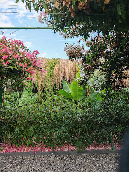 Gartenanlage Rubi Platinum Sign