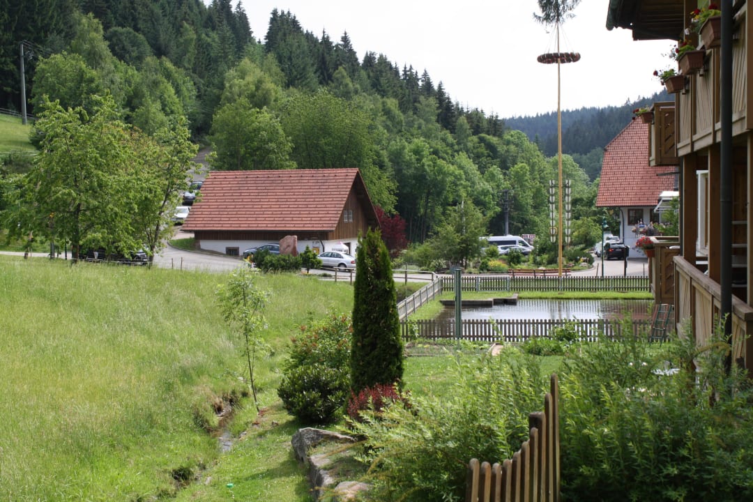 Ausblick von der Ferienwohnung   Naturparkhotel Adler