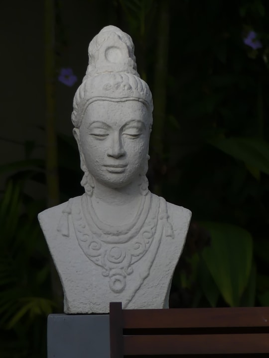 Sonstiges Oak Ray Wild Yala