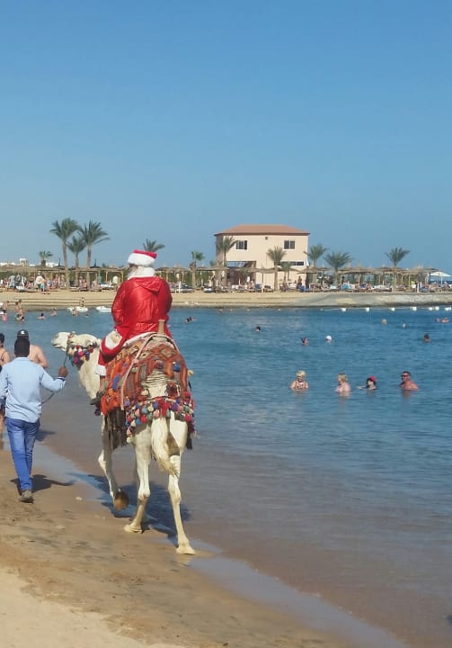 Strand Beach Albatros Resort