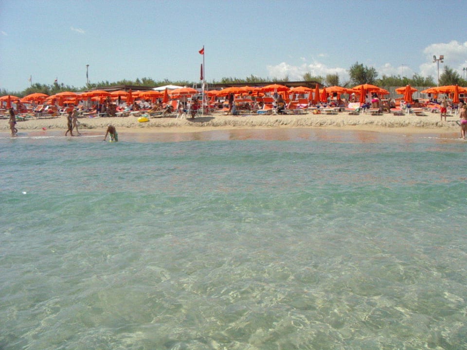 Spiaggia dell'hotel vista dal mare Hotel Oasi Le Dune Resort