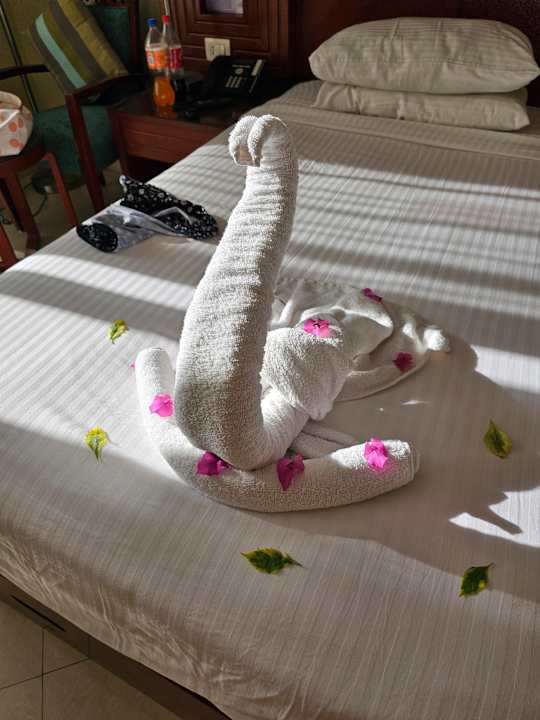 Zimmer Hotel Xperience Sea Breeze Resort