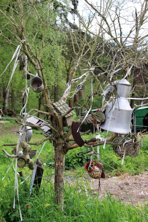 Gartenanlage Steinermühle Waltersdorf