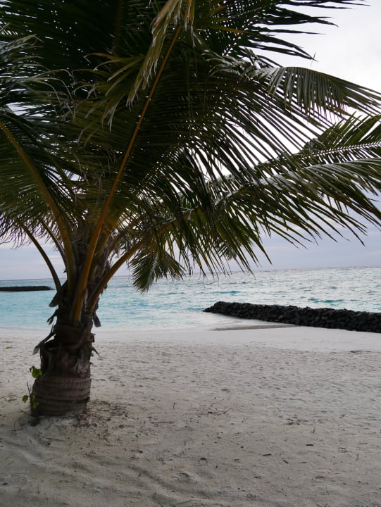 Strand Summer Island Maldives