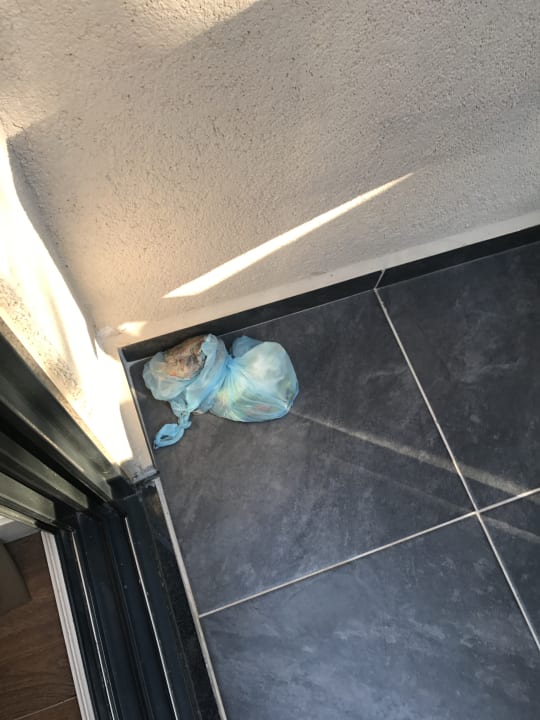 Zimmer Asteria Venus Didim