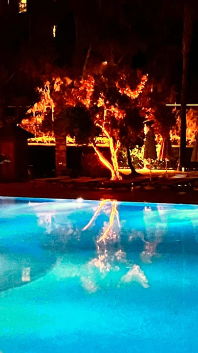 Gartenanlage Arum Barut Collection