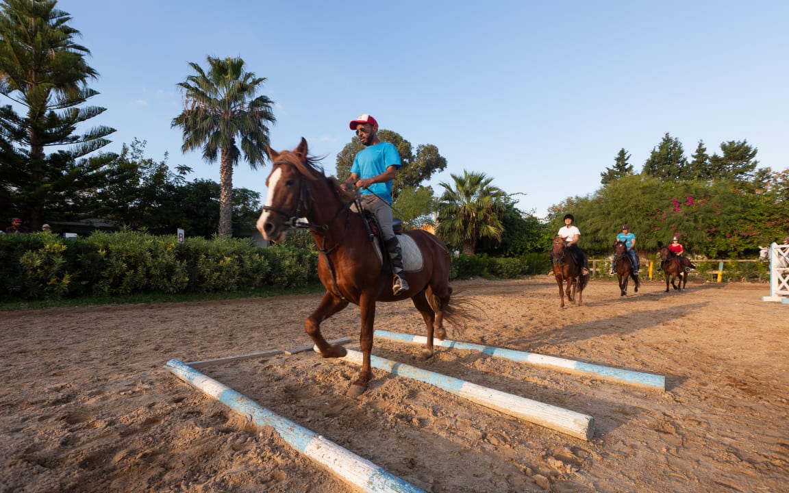 Sport & Freizeit Samira Club