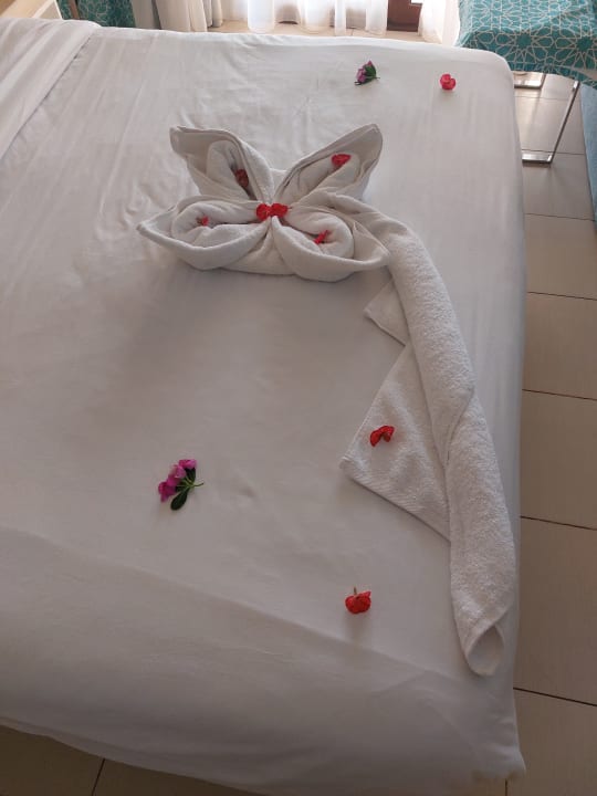 Zimmer Gravity Hotel & Aquapark Sahl Hasheesh