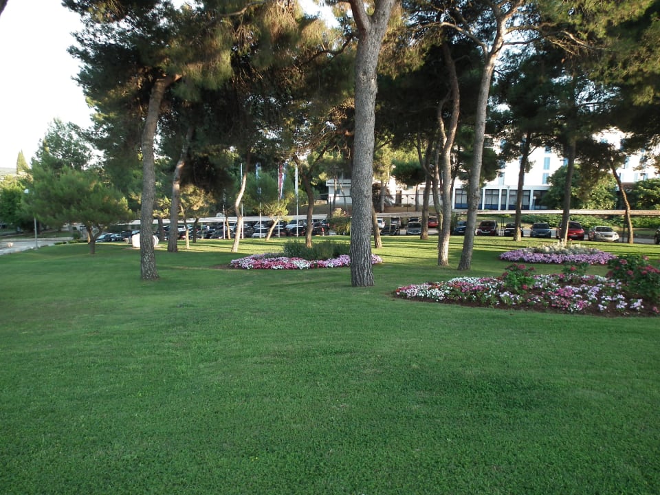 Vor dem Eingang Maistra Select Pineta Hotel