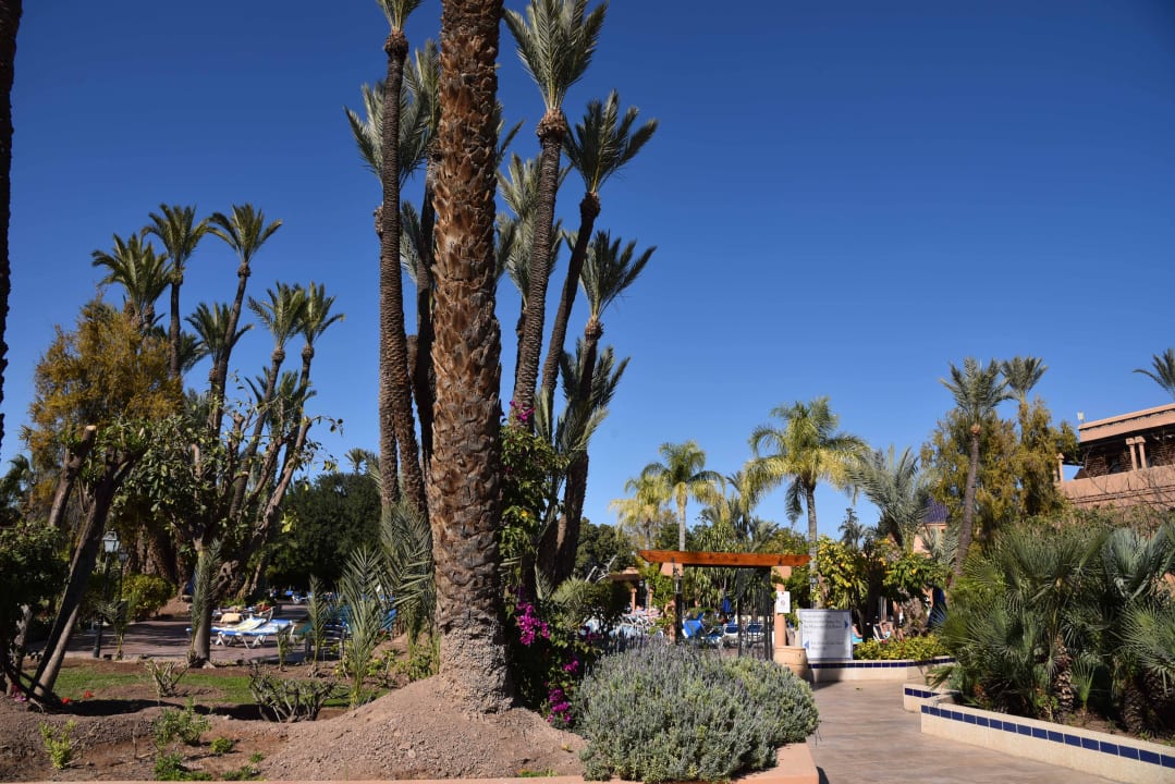 Gartenanlage  Hotel Riu Tikida Garden - Adults Only