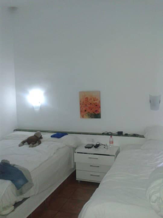 Canary Garden club Canary Garden Club