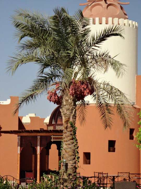 Dates SUNRISE Royal Makadi Resort
