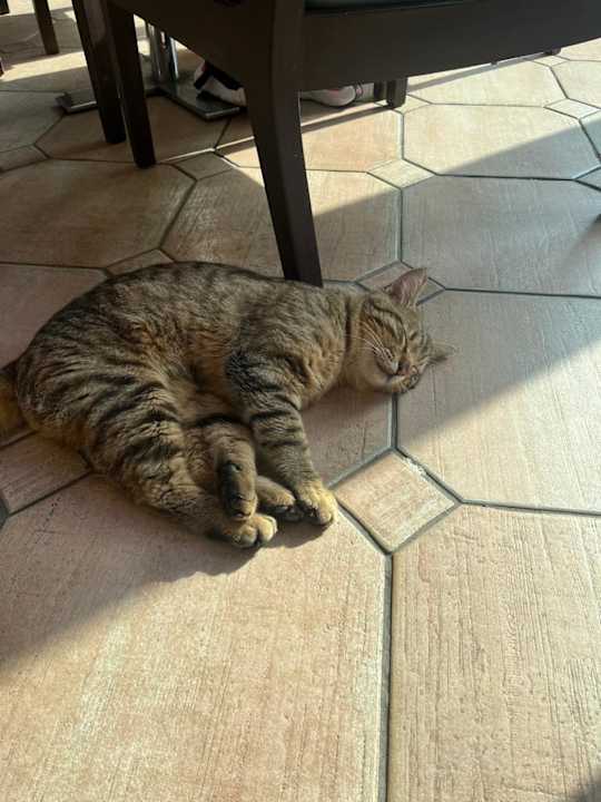 Lobby Limak Limra Hotel & Resort